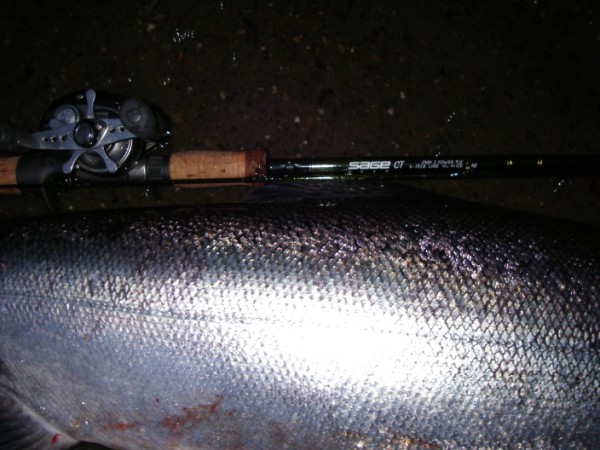 Duc Springers (2).jpg Duc Springers (2).jpg